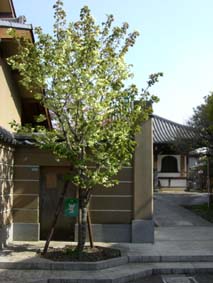 20080411_1